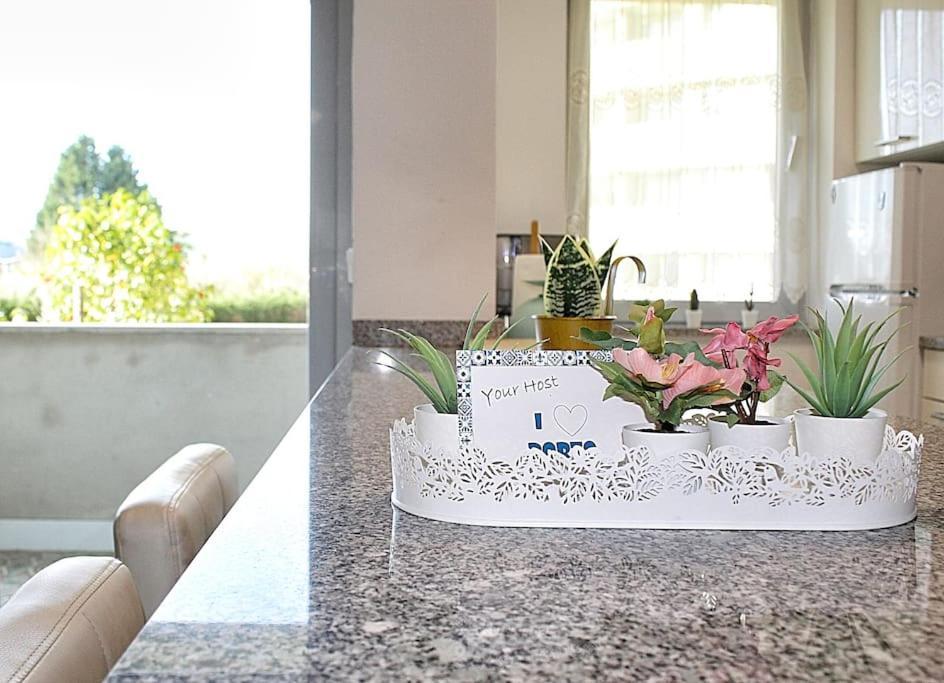 Arrabida Luxury Studio Vila Nova de Gaia Exteriér fotografie